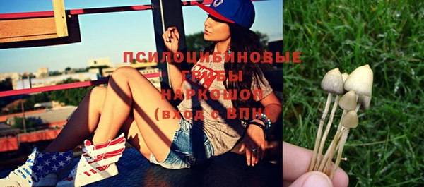 синтетический гашиш Бородино
