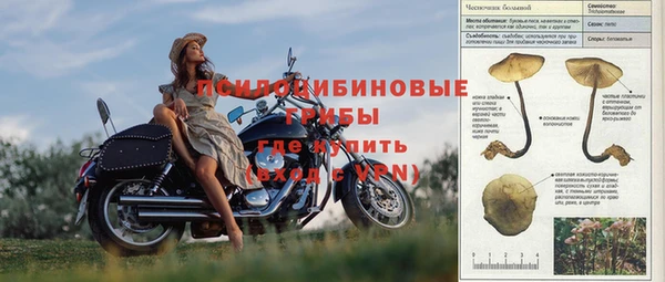 сатива Арсеньев