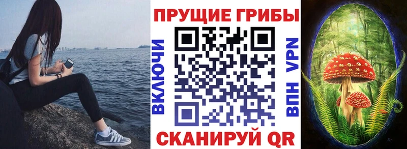 даркнет сайт  Карабаш  Псилоцибиновые грибы Cubensis 